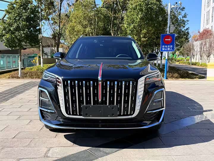 Фото 2 - Hongqi HS5