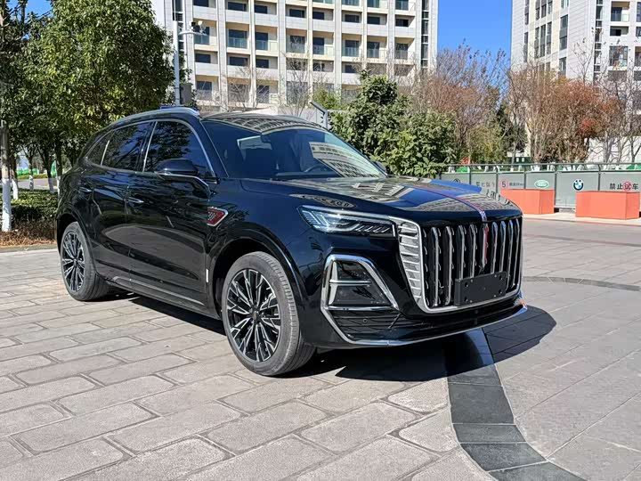 Фото 3 - Hongqi HS5