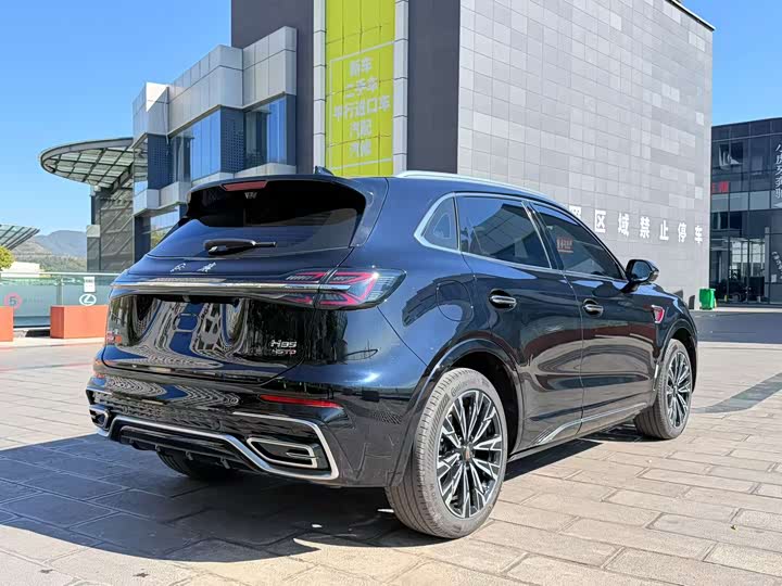 Фото 7 - Hongqi HS5