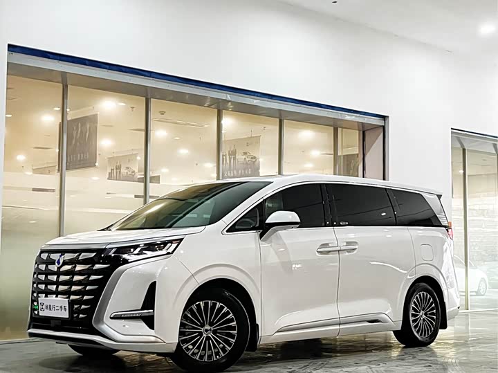 Фото 1 - Denza D9