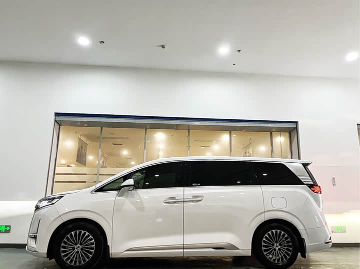 Фото 2 - Denza D9