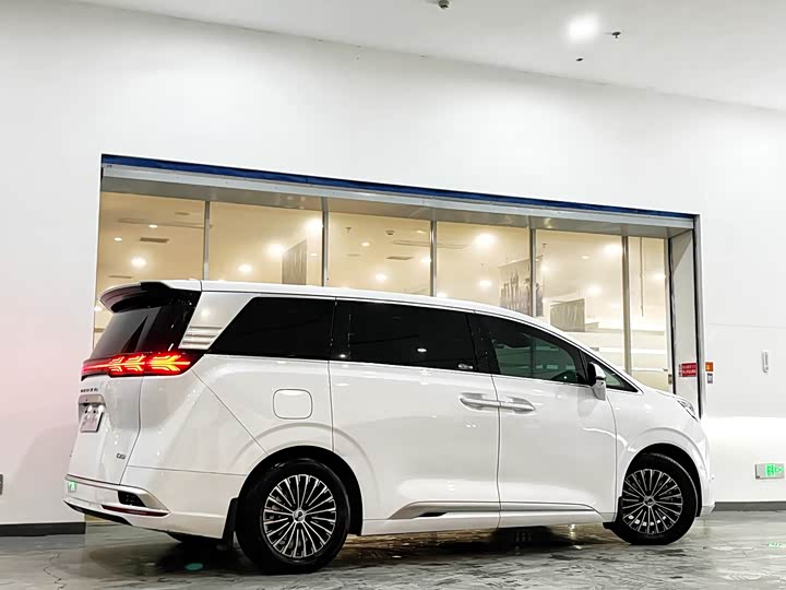 Фото 3 - Denza D9