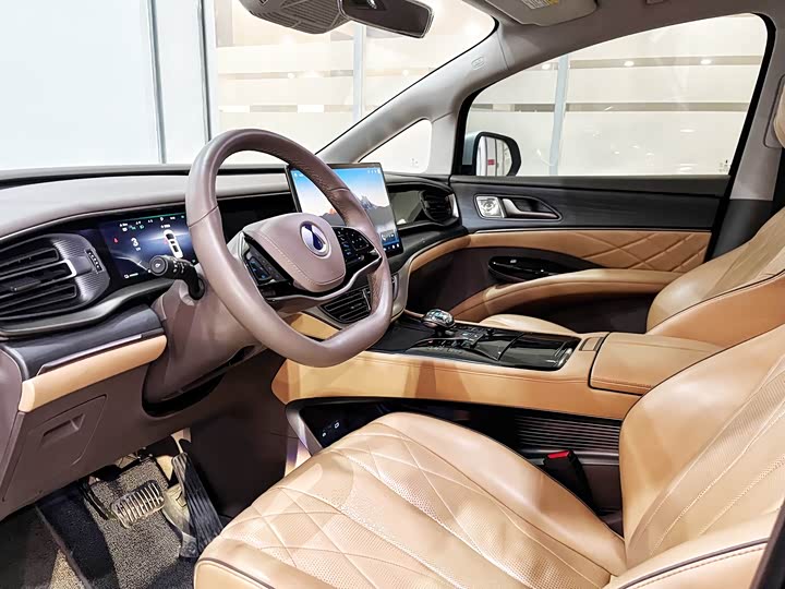 Фото 7 - Denza D9