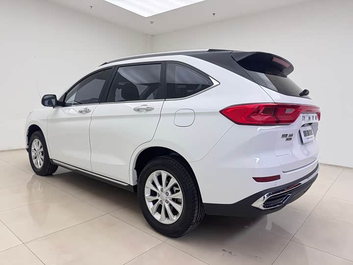 Фото 4 - Haval M6