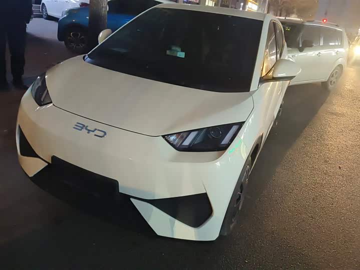 Фото 1 - BYD Seagull