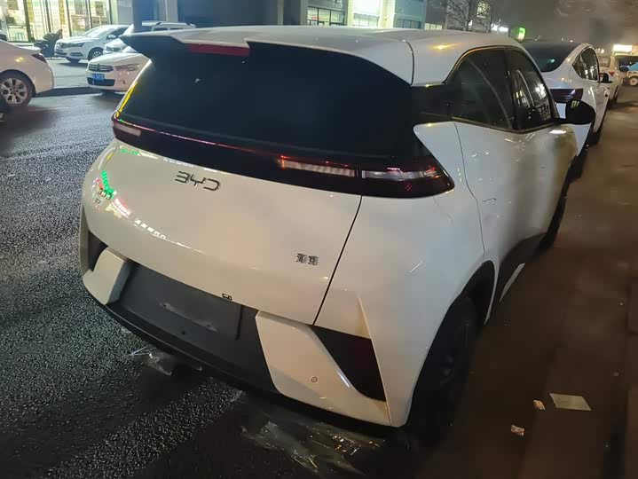 Фото 3 - BYD Seagull