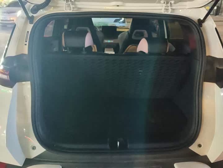 Фото 4 - BYD Seagull