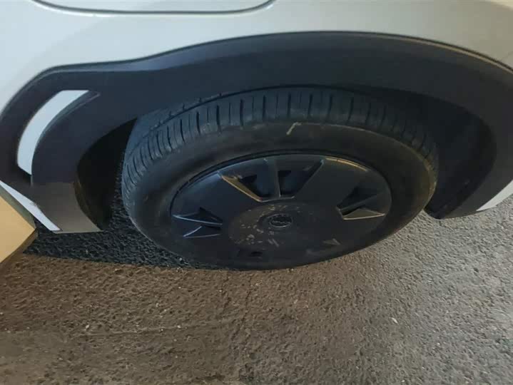 Фото 6 - BYD Seagull