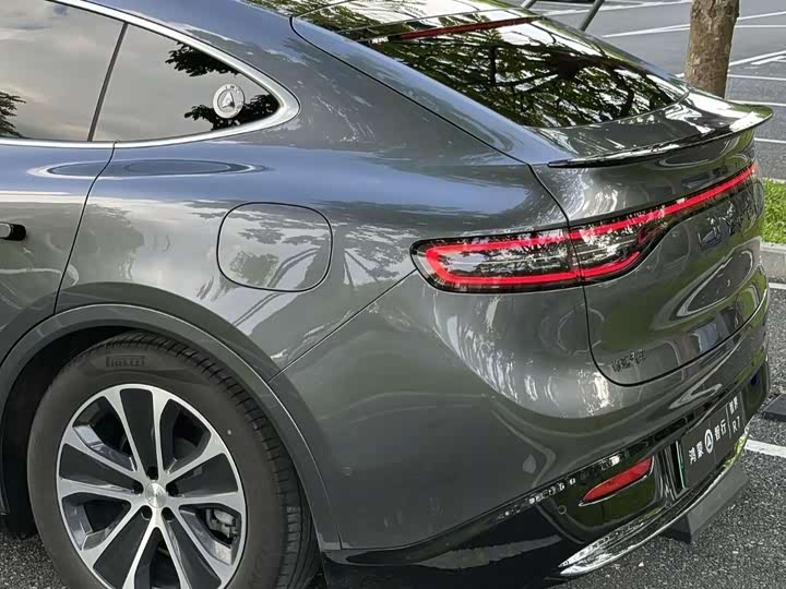 Фото 3 - Luxeed R7