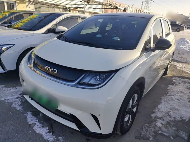 Фото 2 - BYD Dolphin