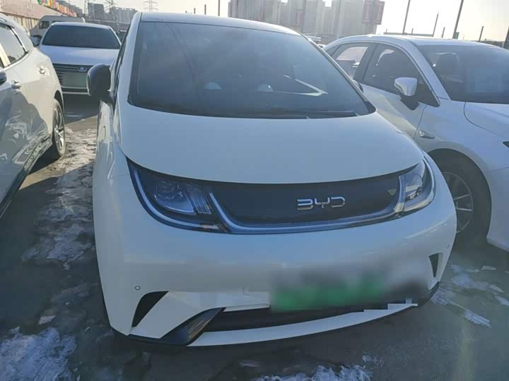 Фото 3 - BYD Dolphin