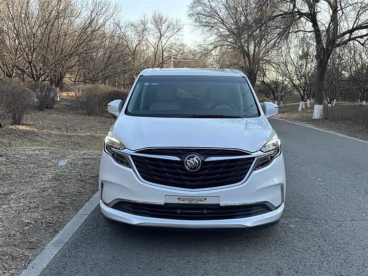 Фото 2 - Buick GL8 ES