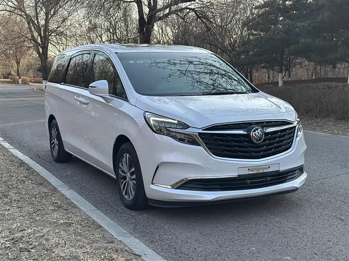 Фото 3 - Buick GL8 ES