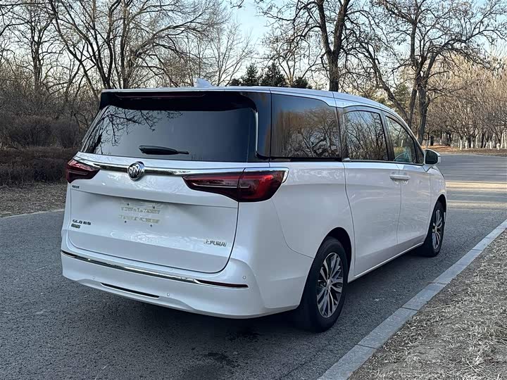 Фото 4 - Buick GL8 ES