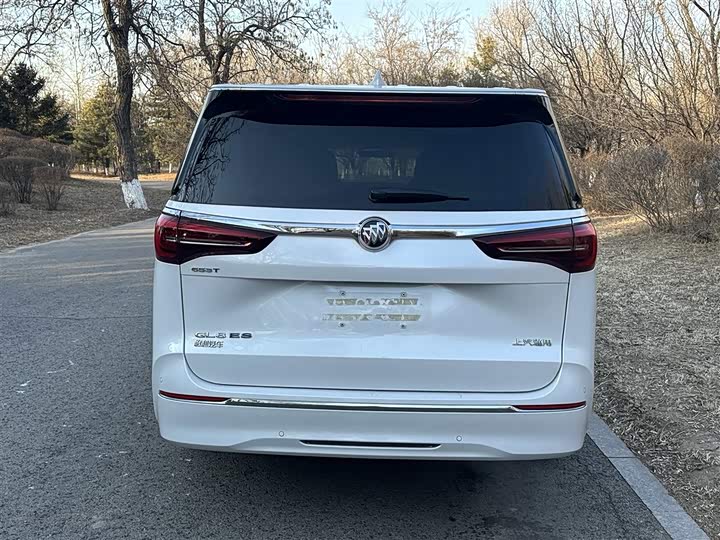 Фото 5 - Buick GL8 ES