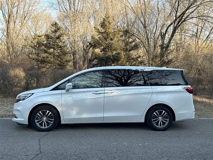 Фото 7 - Buick GL8 ES