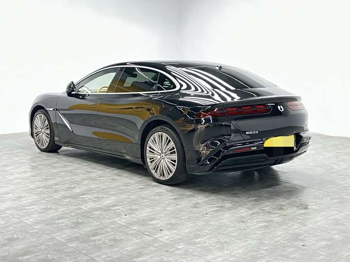 Фото 6 - Denza Z9