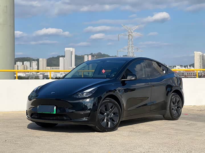 Фото 1 - Tesla Model Y