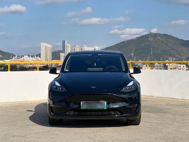 Фото 2 - Tesla Model Y
