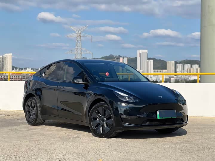 Фото 3 - Tesla Model Y