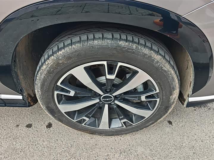 Фото 6 - Roewe D5X DMH