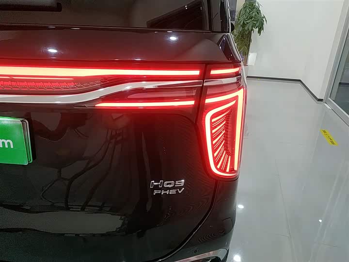 Фото 8 - Hongqi HQ9 Hybrid
