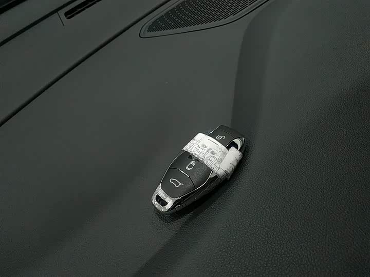 Фото 9 - Hongqi HQ9 Hybrid