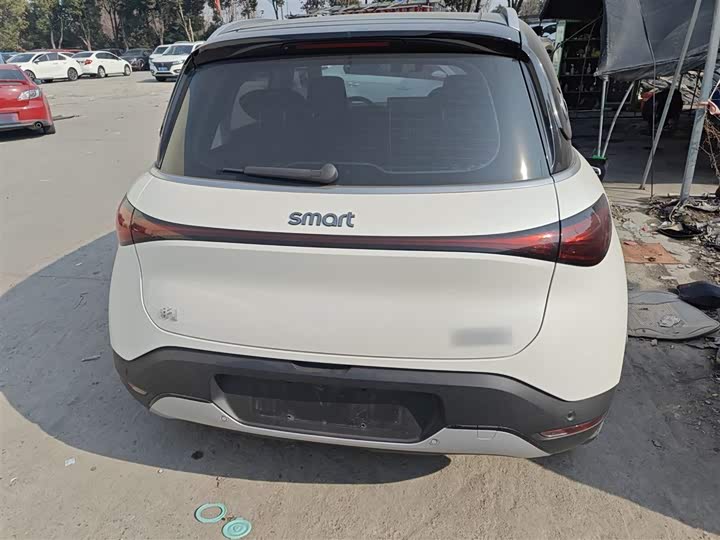 Фото 6 - Smart #1