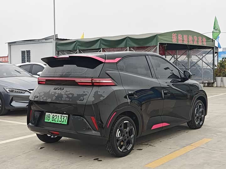 Фото 3 - BYD Seagull