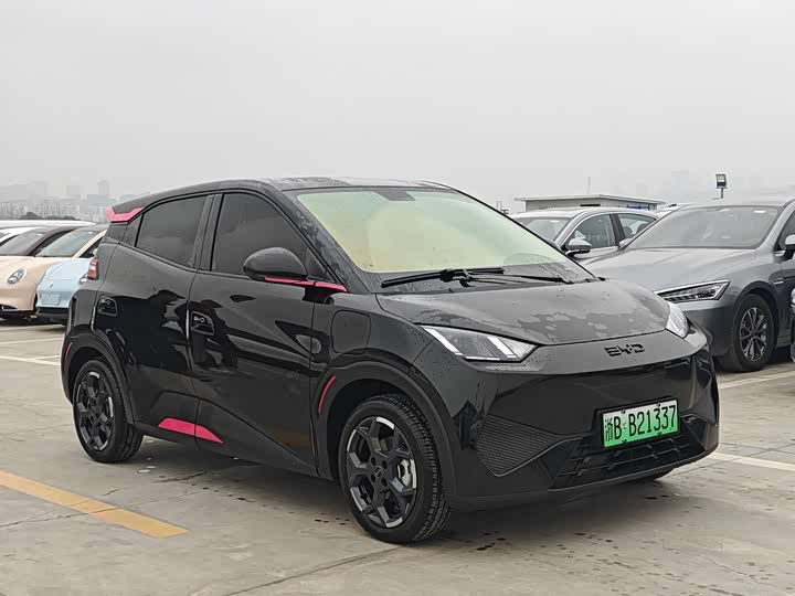 Фото 4 - BYD Seagull