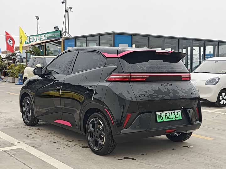 Фото 6 - BYD Seagull