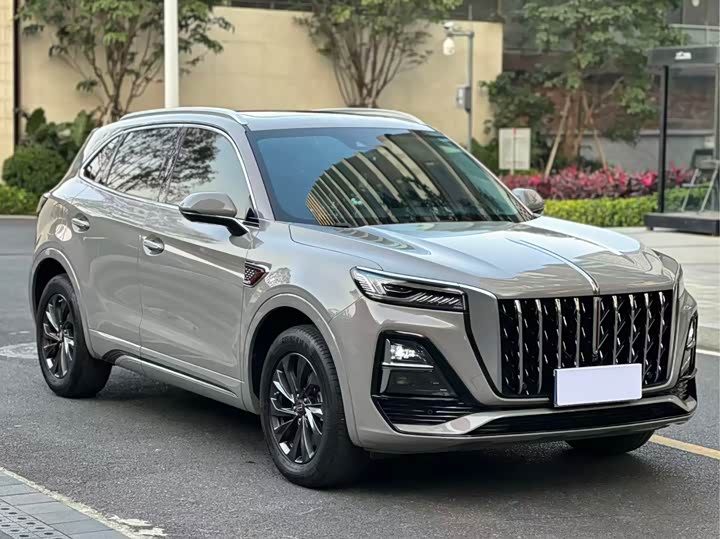 Фото 3 - Hongqi HS5