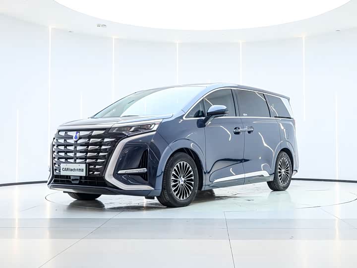 Фото 1 - Denza D9