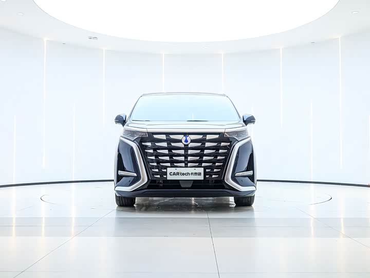 Фото 2 - Denza D9