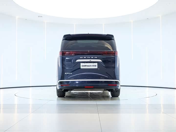 Фото 3 - Denza D9