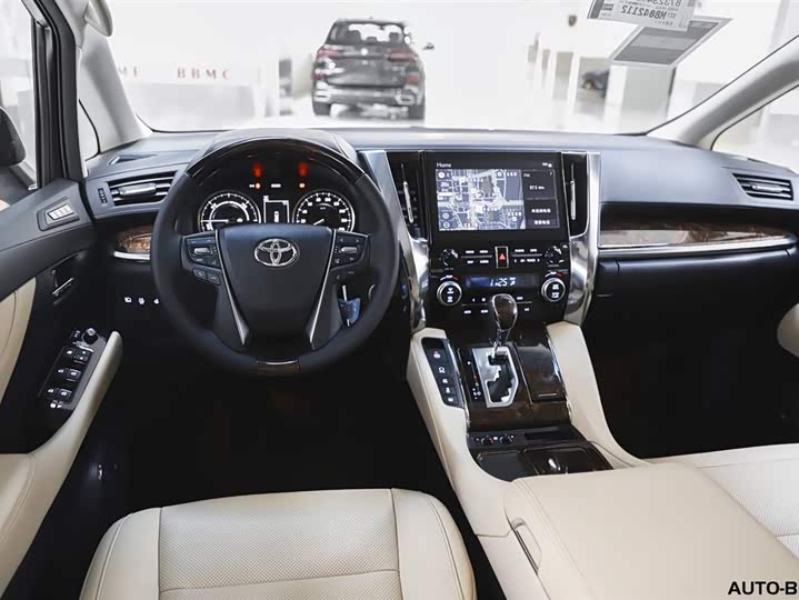 Фото 6 - Toyota Alphard