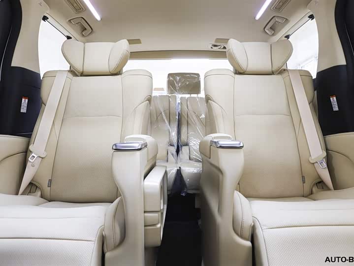 Фото 9 - Toyota Alphard