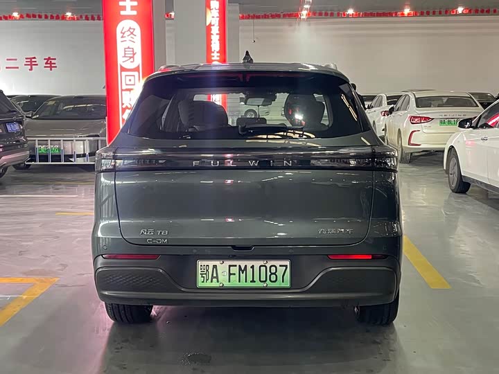 Фото 4 - Chery Fulwin T8