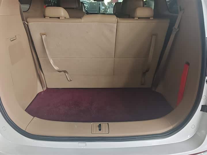 Фото 4 - Buick GL8 ES