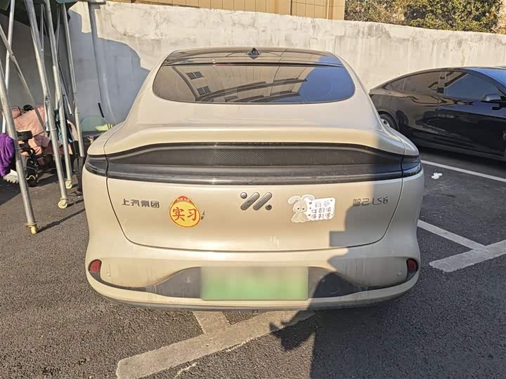 Фото 6 - IM motors LS6