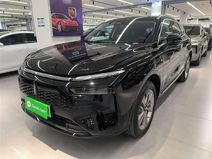 Фото 2 - Wey Mocca Hybrid