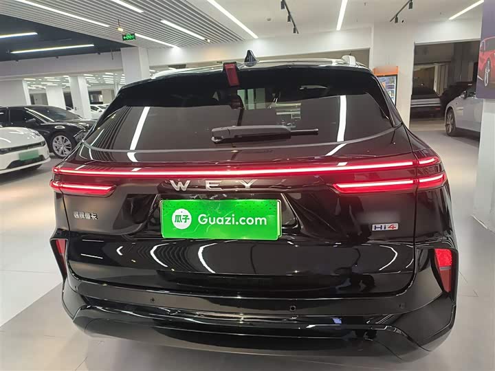 Фото 6 - Wey Mocca Hybrid