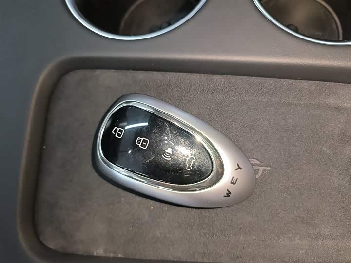 Фото 9 - Wey Mocca Hybrid