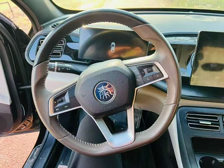 Фото 6 - BYD Qin Plus