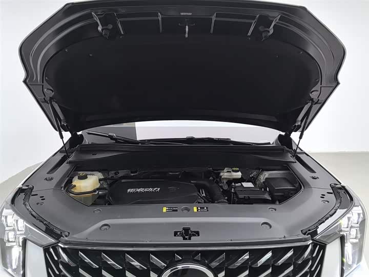 Фото 6 - GAC Trumpchi GS8