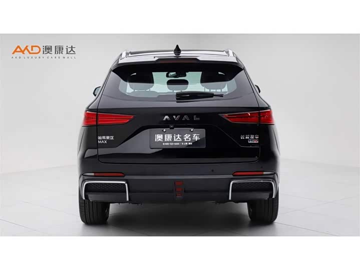 Фото 4 - Haval Ruge Max