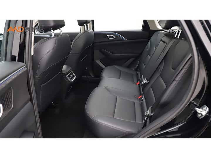 Фото 7 - Haval Ruge Max