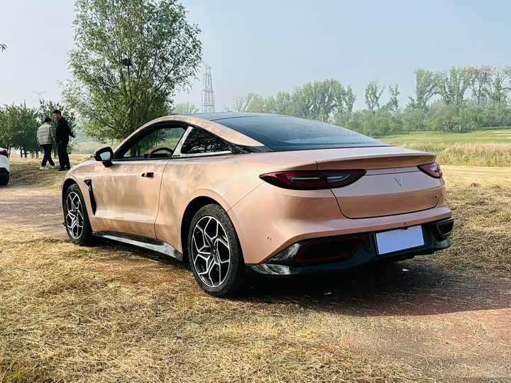 Фото 9 - Hozon GT