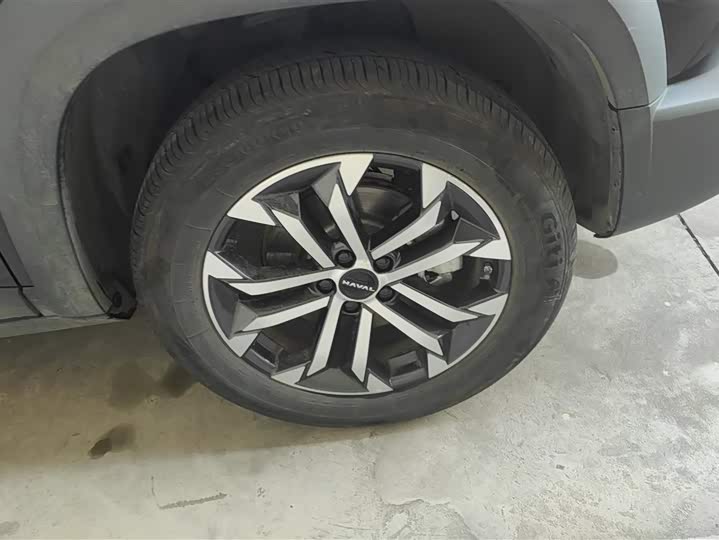 Фото 6 - Haval Dargo