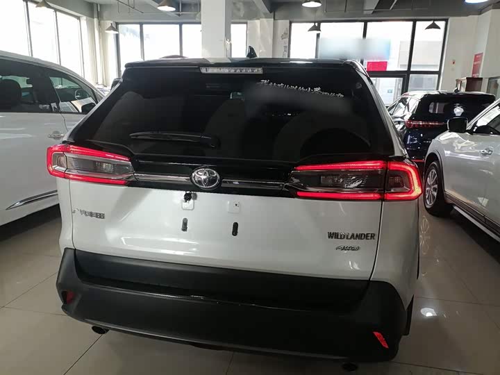 Фото 6 - Toyota Wildlander